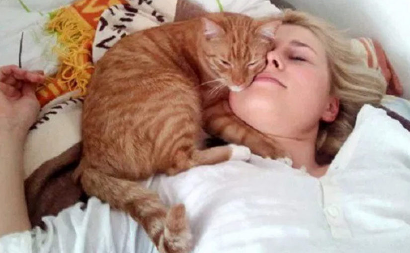 Почему кошка засыпает на человеке