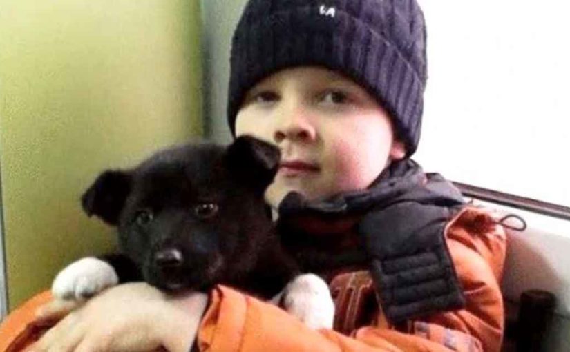 Маленький мальчик и его отец помогли сотням бездомных животных